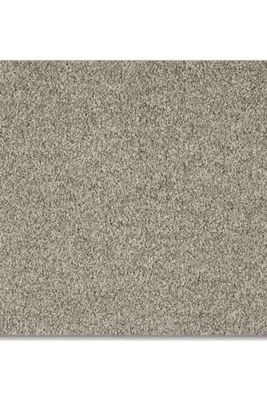Moquette Velours Frisé- Euphoria- Coloris Souris Prix Choc