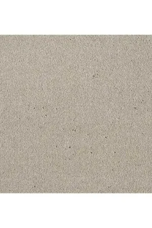 Retour Gratuit Moquette Velours semi épaisse en Fibre Écologique Dream - Coloris Greige Clair