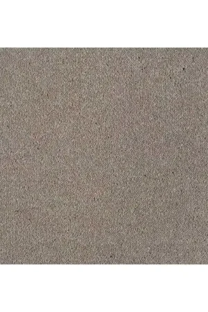 Nouvelle Collection Moquette Velours semi épaisse en Fibre Écologique Dream - Coloris Greige Moyen