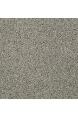 Moquette Velours semi épaisse en Fibre Écologique Dream - Coloris Taupe Moyen Livraison Express