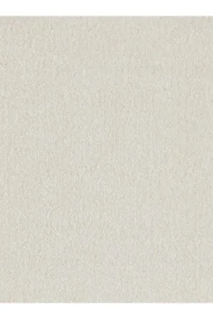 Petit Prix Moquette Velours Effet Soie Satine - Coloris Crème 3