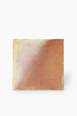 Terre cuite 20 x 20 cm Gaia Promotion