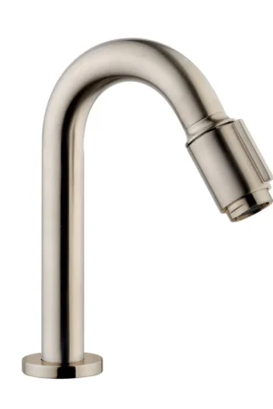 Wiesbaden Caral Victoria robinet de fontaine 1/2‘‘ acier brossé PVD Authentique