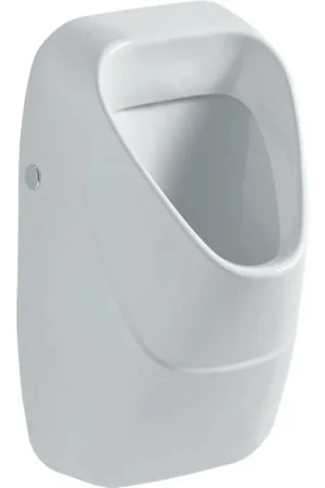 Acheter Direct Geberit 300 urinoir avec grille en céramique avec arrivée arrière 34x34cm avec mouche blanc
