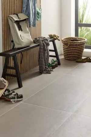 Achetez Aujourd'hui Carrelage EXTRA taupe, aspect béton, dim 60 x 120 cm