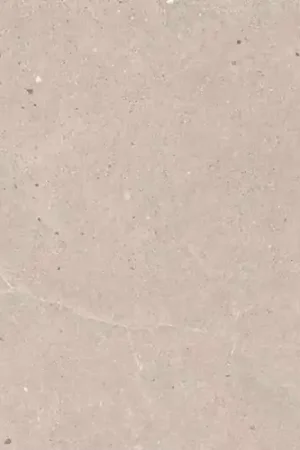 Achetez Aujourd'hui Carrelage sol effet pierre Kiyosumi Taupe 30x60 cm