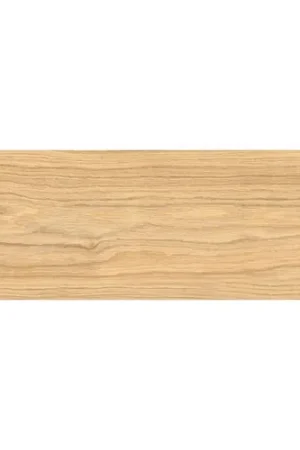 Bon Plan Carrelage sol extérieur effet bois Panggal chêne R11 20x120 cm