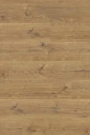 Top Vente Sol stratifié Calgary planche XXL Chêne portland nature 24,3*220 cm