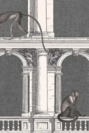 Expédition Rapide Papier peint Procuratie e Scimme