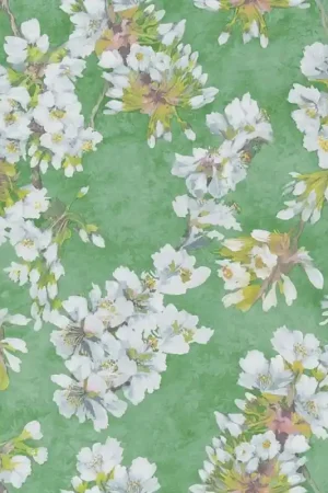 Papier peint Fleur D‘assam Dernière Chance