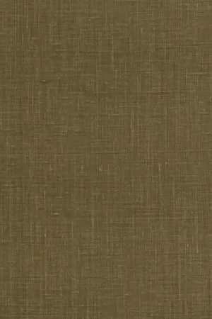 Prix Promo Revêtement mural Jute Weave