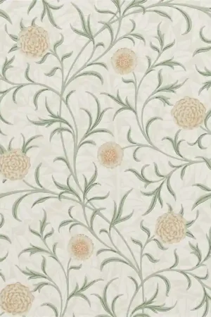 Papier peint Scroll Offre Spéciale