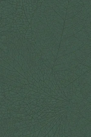 Papier peint Forest - Embrace Nouvel Arrivage