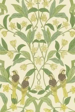 Papier peint Jasmine & Serin Symphony Seulement Aujourd'hui