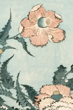 Papier peint panoramique Fleur de pavot dans la brise Usine Directe