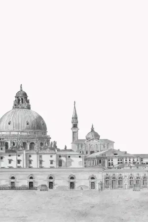 Top Vente Papier peint panoramique Lin Olympus