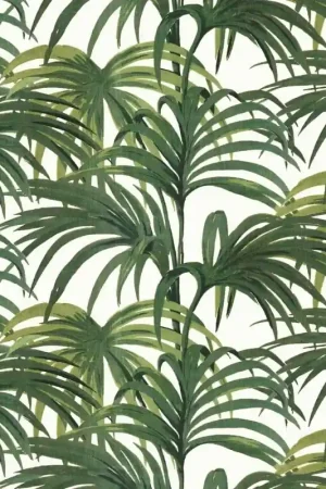 Papier Peint Palmeral Jusqu'à Épuisement Des Stocks