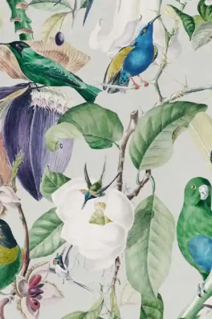 Affaire À Saisir Papier peint panoramique Tropical Birds
