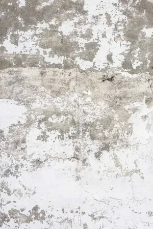 Promotion Papier peint panoramique Grey Patina