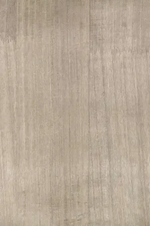 Prix Réduit Papier peint Paulownia