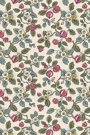 Seulement Aujourd'hui Papier peint Framboise