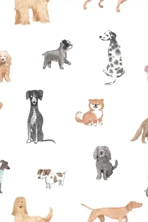 Produit De Marque Papier peint panoramique Taiga and Friends