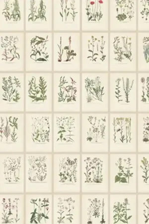 Retour Gratuit Papier peint panoramique Botanica
