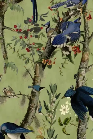 Papier peint panoramique Birds of Danube Acheter Direct