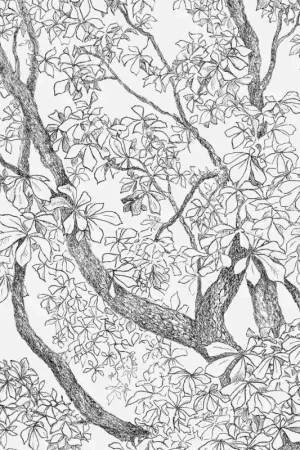 Papier peint panoramique Arbres Meilleur Choix