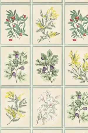 Papier peint Herbier Nouveauté