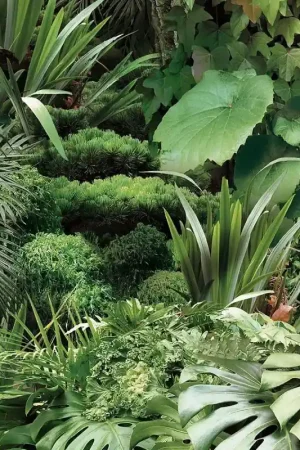 Dernier Modèle Papier peint panoramique Jungle Urbaine