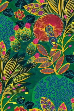 Expédié Aujourd'hui Papier peint Lithops