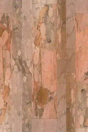 Bon Plan Papier peint panoramique Beige Allure