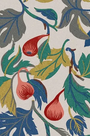 Meilleure Vente Papier peint Figs
