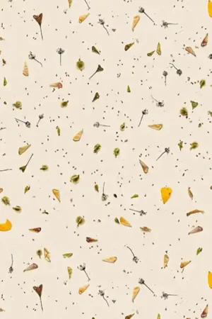 Expédition Rapide Papier peint Floral Confetti