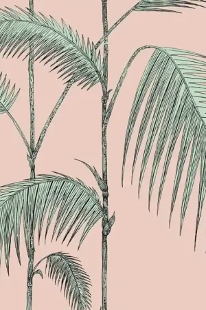 Papier peint Palm Leaves Super Prix