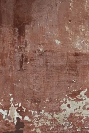 Papier peint panoramique Red Patina Wall Offre Exclusive