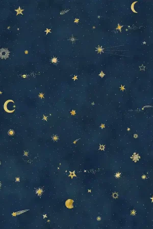 Papier peint panoramique Starry Sky Marque