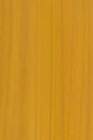 Revêtement mural Wood Veneer Promotion Saisonnière