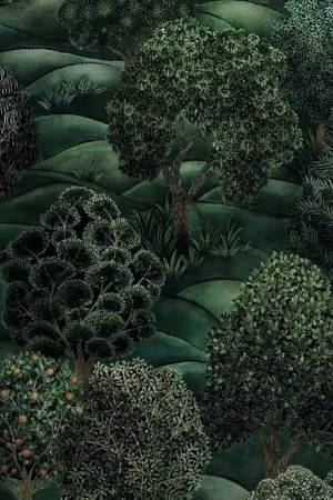 Papier peint Forest Offre Du Jour