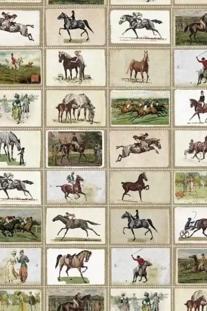 Offre Limitée Papier peint panoramique English Equestrian Stamps