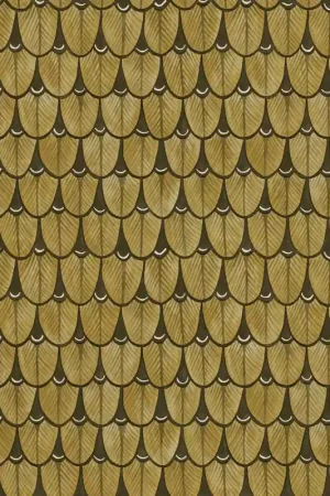 Papier peint Narina Baobab Offre Du Jour