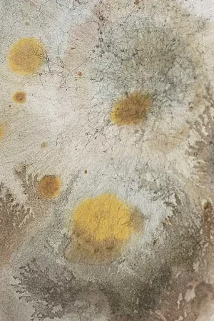 Commande En Gros Revêtement mural Mufarina
