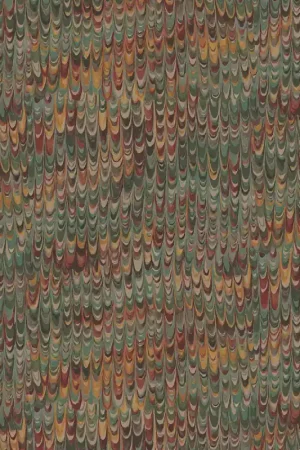 Promotion Saisonnière Papier peint End Paper