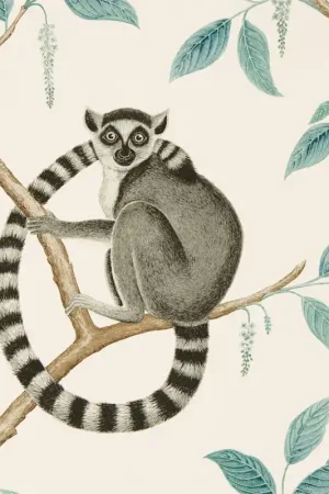 Populaire Papier peint Ringtailed Lemur