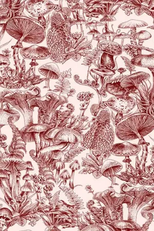 Papier peint Fungi Forest Meilleur Choix