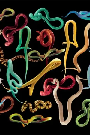 Papier peint panoramique Snakes Storm Dernier Modèle