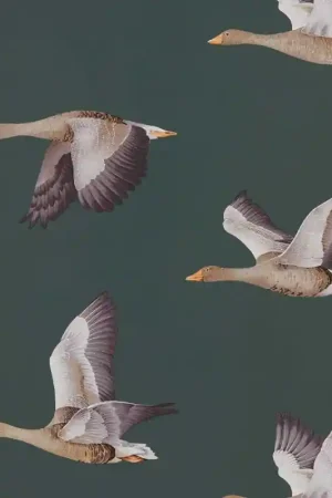Papier peint Elysian Geese Nouvelle Collection