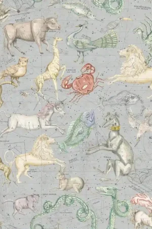 Papier peint Cosmos Authentique