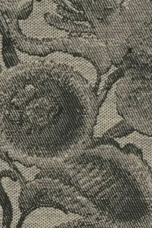 Promotion Revêtement mural Coccinella Bella Jacquard